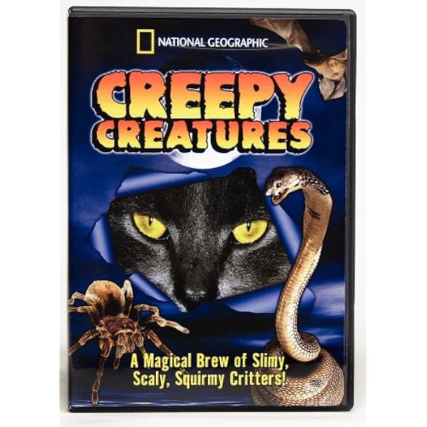 (未使用･未開封品)Wildlife on the Prowl [DVD] Amazon.com: Really Wild Animals: Polar Prowl (National